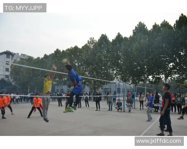 张静独家分享：深入探讨排球技巧与训练心得，助你提升竞技水平